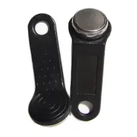 Ключ TM DS1990A-F5