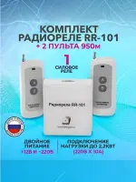 ИПРо Комплект Радиореле RR-101 + 2 пульта 250-950м (двойное питание 12В и 220В)